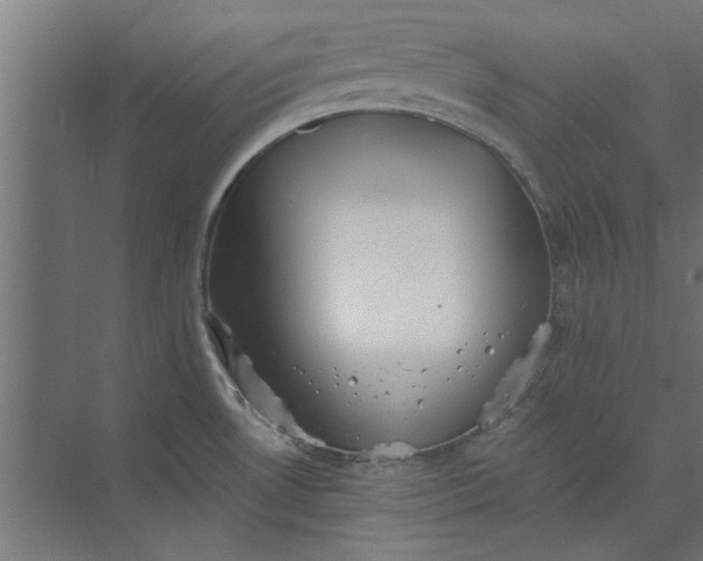 X0000073841530200608241003