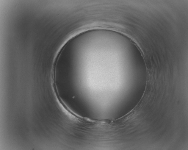 X0000073841531200608241003