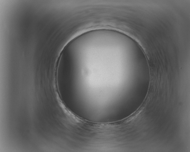 X0000073841534200608241004