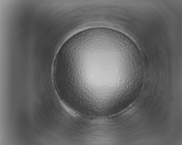 X0000073841535200608241004