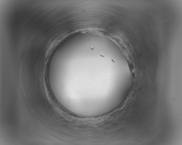 X0000073840001200608311947