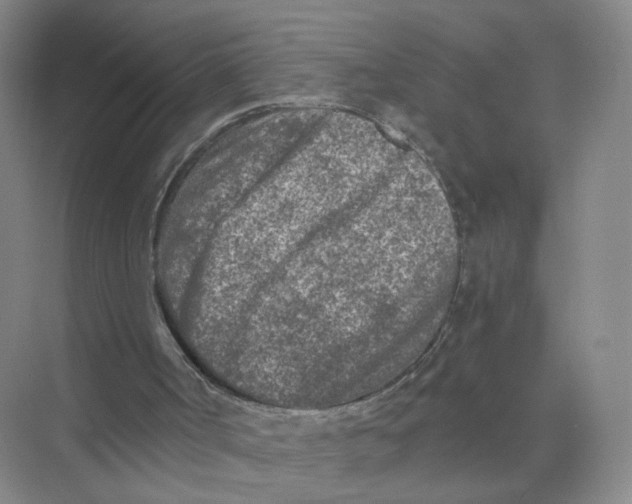 X0000073840002200608311947