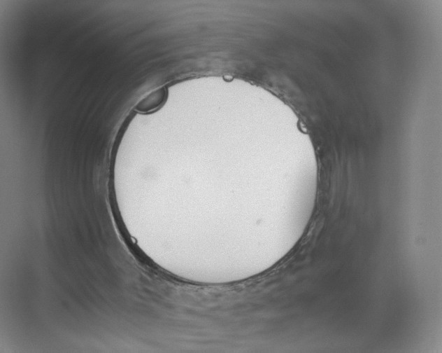 X0000073840003200608311947