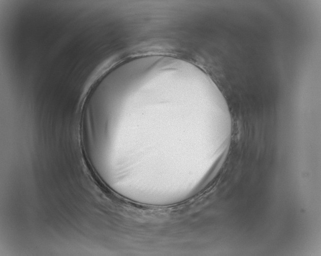 X0000073840004200608311947