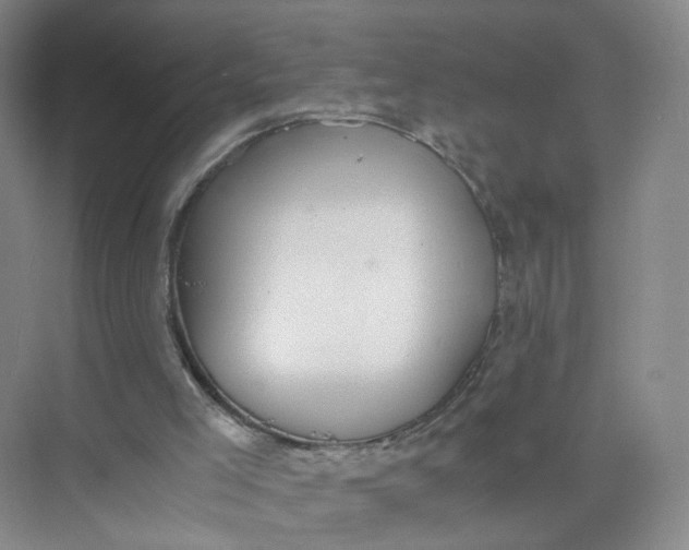 X0000073840005200608311947