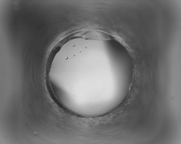 X0000073840007200608311946