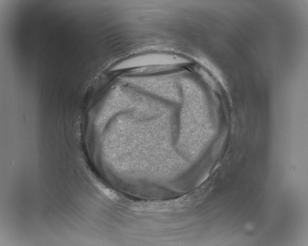 X0000073840009200608311946