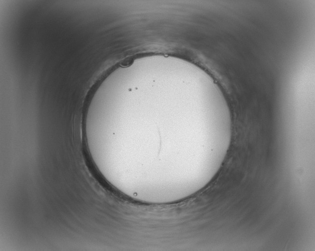 X0000073840011200608311946