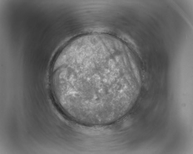 X0000073840012200608311946