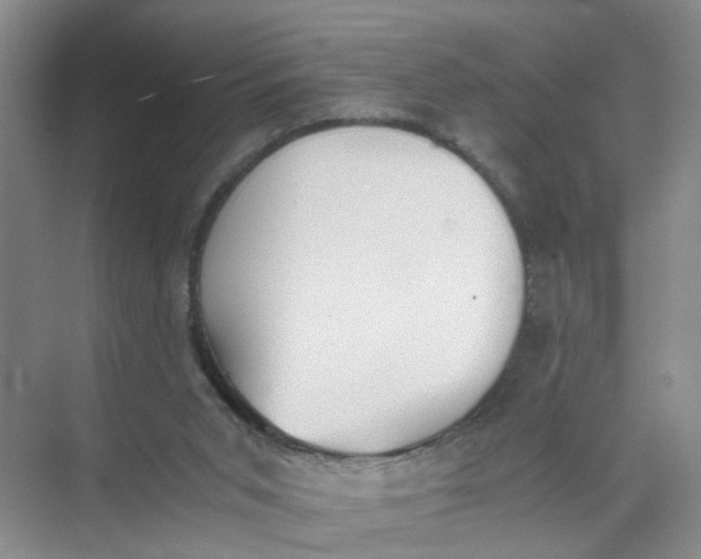 X0000073840015200608311946