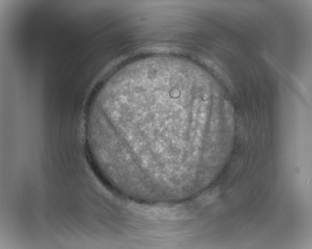 X0000073840016200608311946