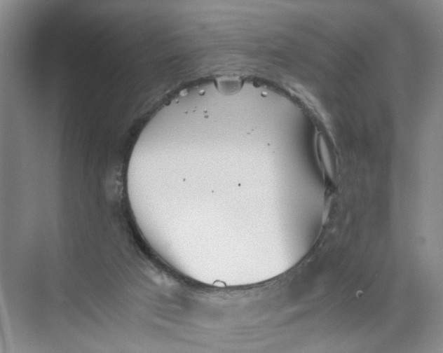 X0000073840017200608311946