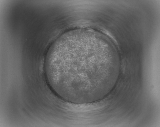 X0000073840018200608311946