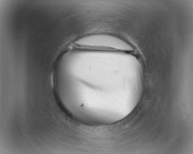 X0000073840019200608311946