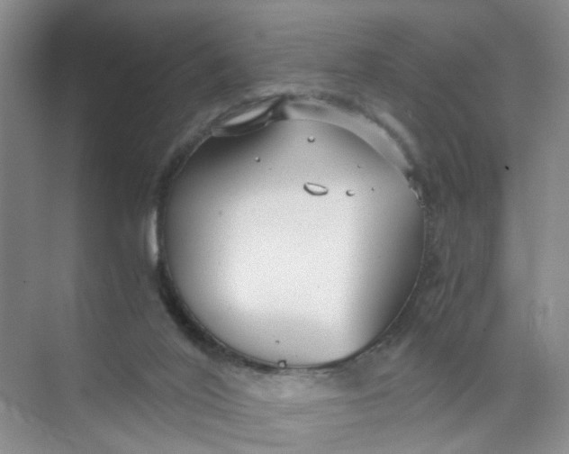 X0000073840020200608311946