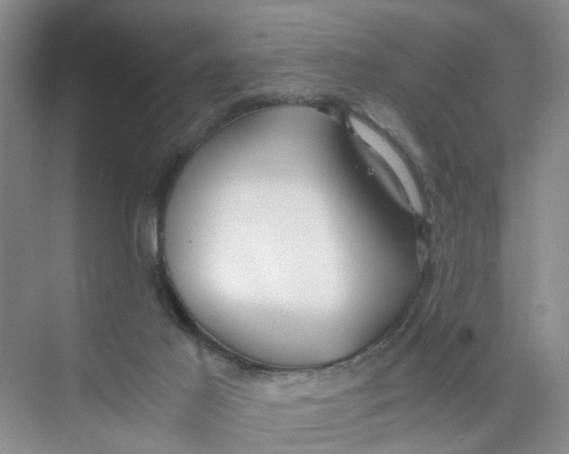 X0000073840021200608311946