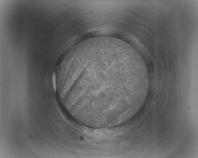 X0000073840022200608311946