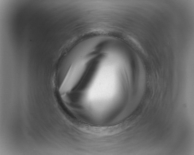 X0000073840023200608311946