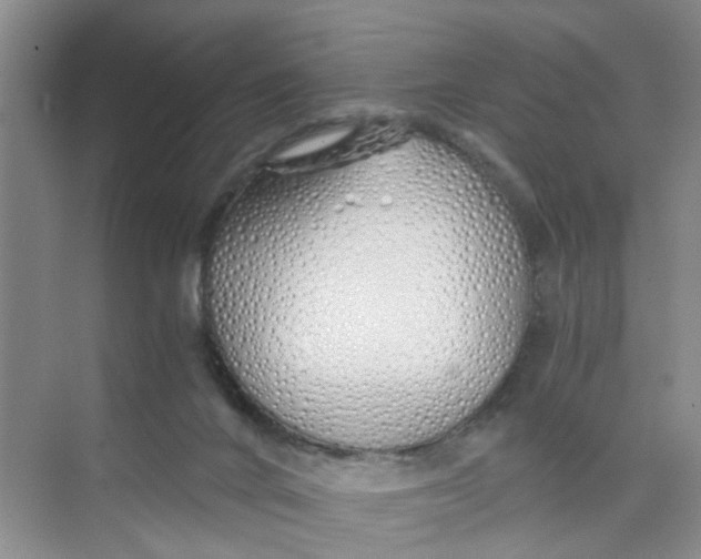 X0000073840024200608311946