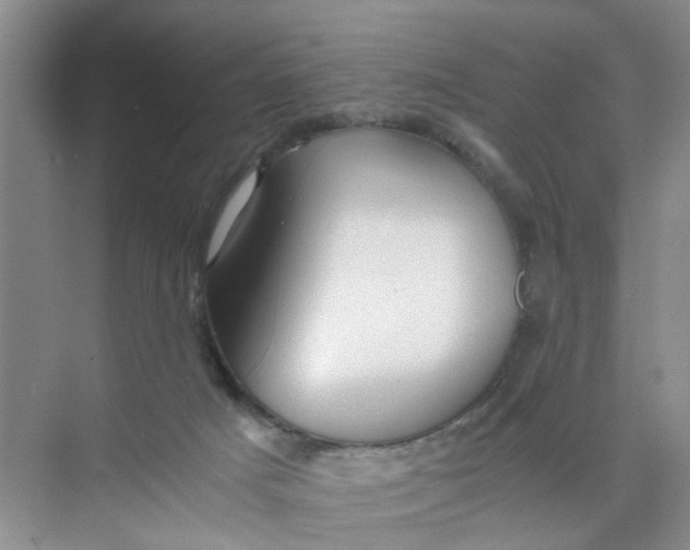 X0000073840025200608311946