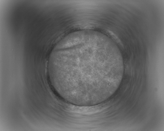 X0000073840026200608311946