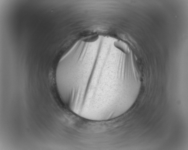 X0000073840029200608311946