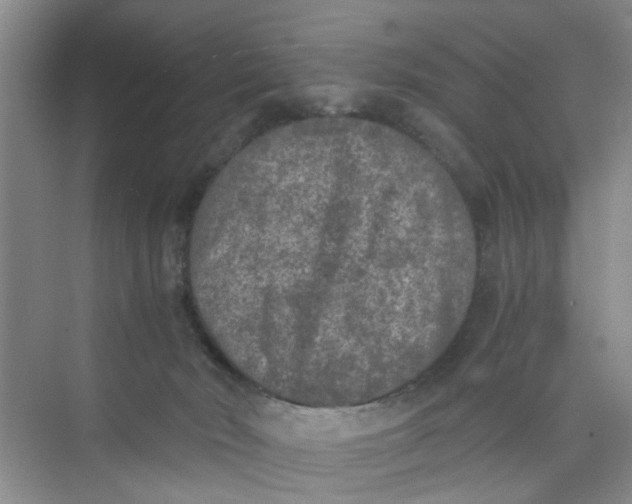 X0000073840030200608311946