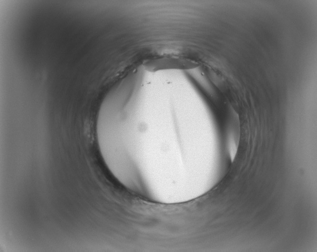 X0000073840031200608311946