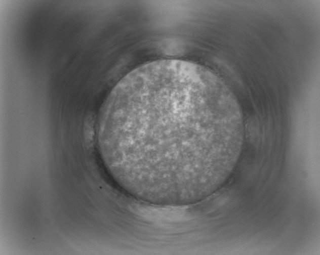 X0000073840032200608311946