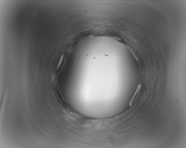 X0000073840033200608311946