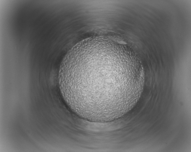 X0000073840034200608311946