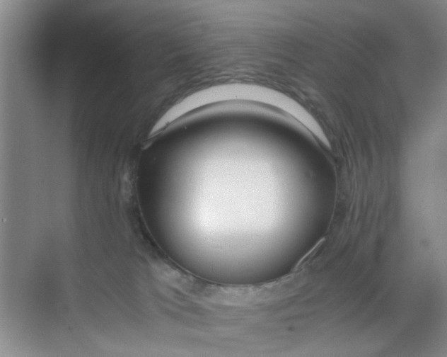 X0000073840037200608311946