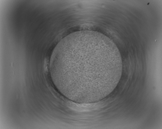 X0000073840038200608311946