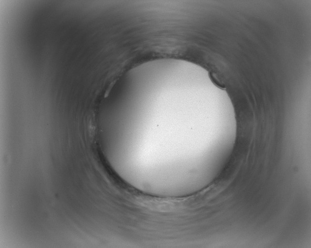 X0000073840040200608311946