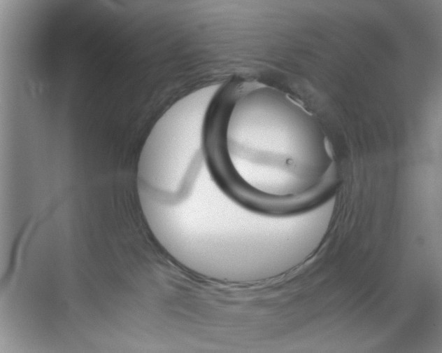 X0000073840041200608311946