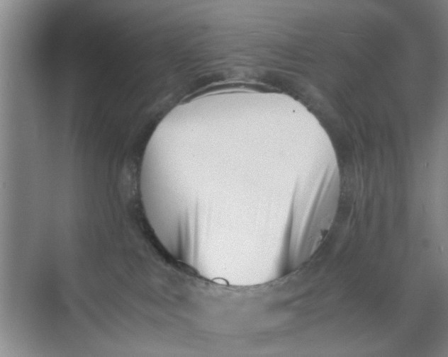 X0000073840043200608311946