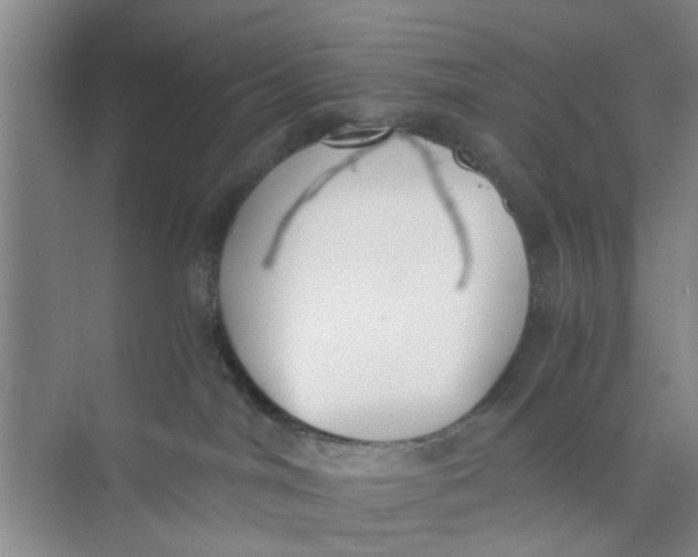 X0000073840044200608311946