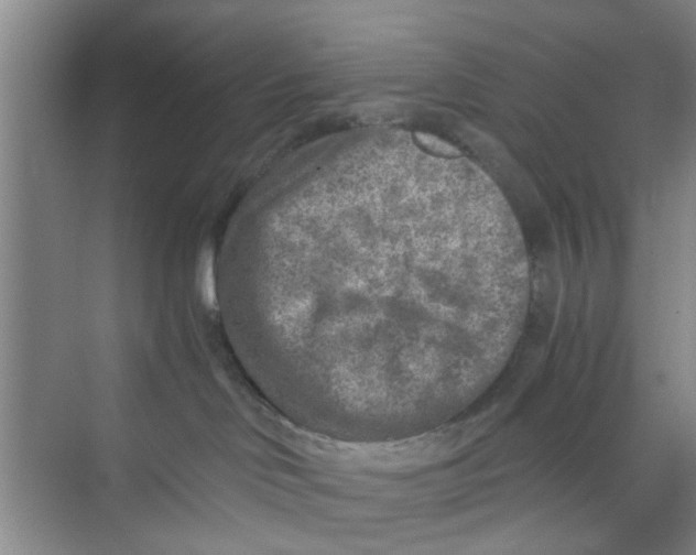 X0000073840046200608311946