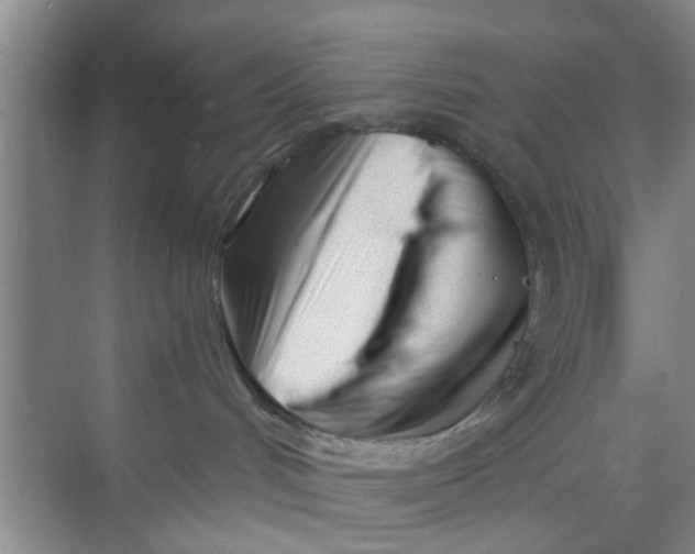 X0000073840048200608311946