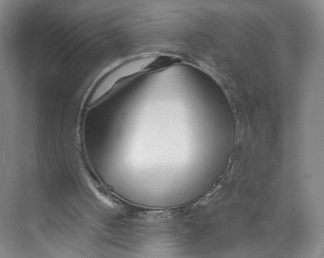 X0000073840050200608311945