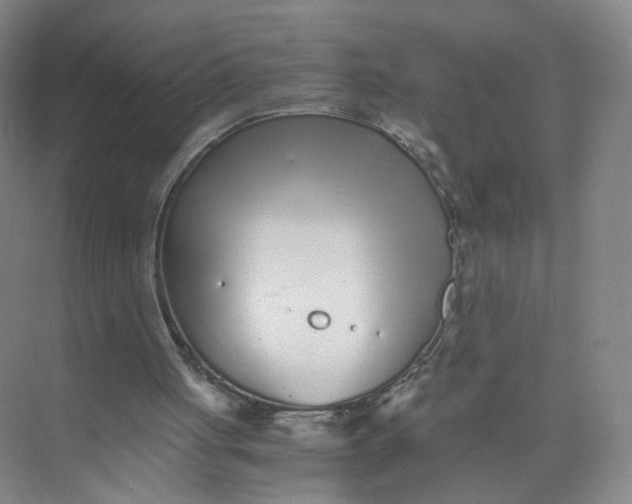 X0000073840051200608311945