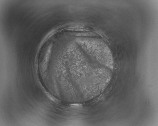 X0000073840053200608311945