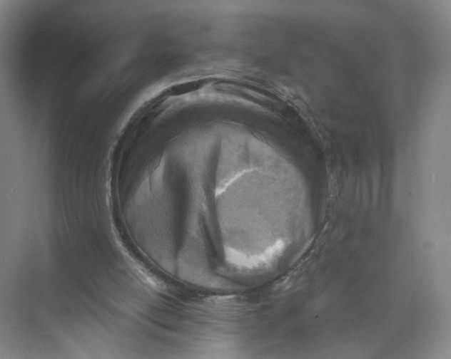 X0000073840054200608311945