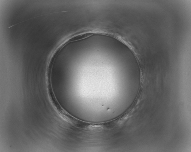 X0000073840055200608311945