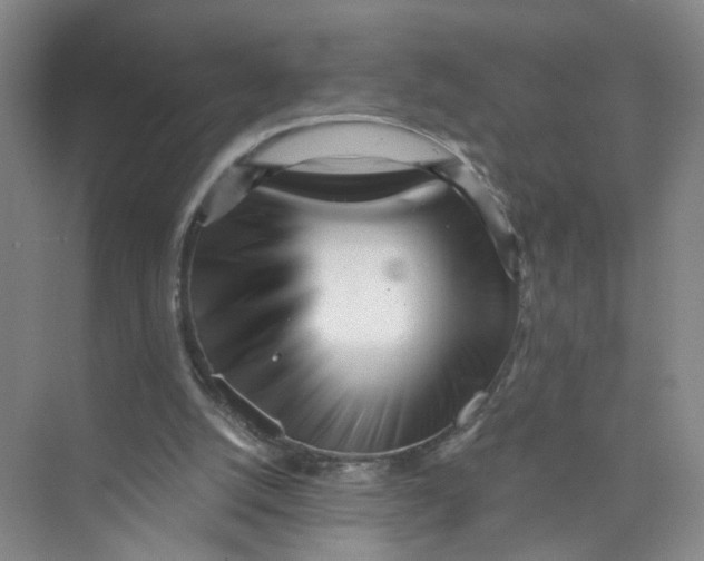 X0000073840056200608311945