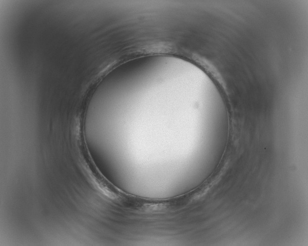 X0000073840057200608311945