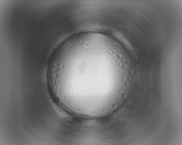 X0000073840058200608311945