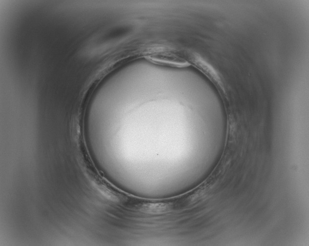 X0000073840059200608311945