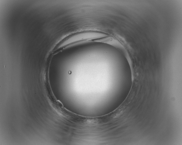 X0000073840060200608311945