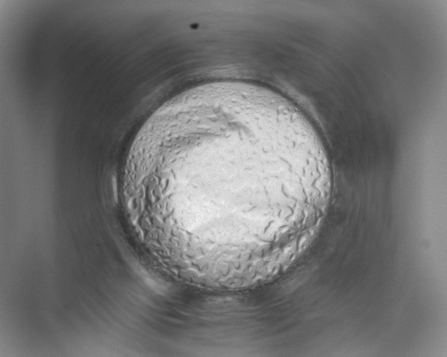 X0000073840061200608311945